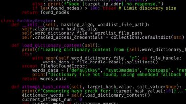 Programlama dili simülasyonu, ekranda PASSWORD ifadesinin görünümü ile sonuçlanan sayısız metin satırını gösterir