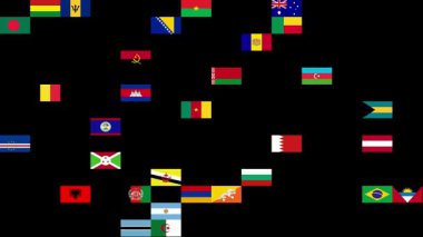 Kolajda, dünya çapında 14 'e 14' lük bir formatta sıralanmış 196 bayrak ilk başta siyah bir arkaplanda sergilendi