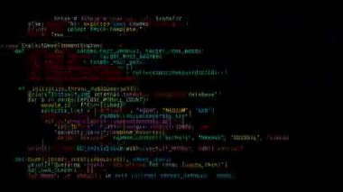 Ekranda programlama dili parşömenlerinin uzun listelenmesi ve en sonunda PASSWORD metni ortaya çıkar