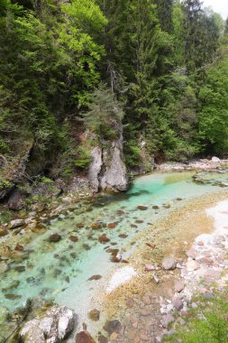 Vadinin ortasında yeşil bitki örtüsü olan temiz dağ suyuyla derenin tepesinden manzara