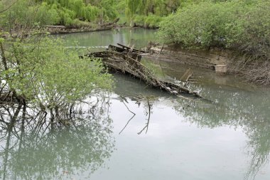BURCI Mezarlığı, Kuzey İtalya 'da SILE nehrinin kıvrımlarında, BURCIO veya BURCHIO olarak adlandırılan batık ahşap tekne enkleri ve Veneto İtalya bölgesinde Goodf ve tahıl taşımak için kullanılan tahıl kalıntıları ile yararlı bir paldır.
