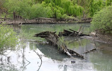 BURCI Mezarlığı, Kuzey İtalya 'da SILE nehrinin kıvrımlarında, BURCIO veya BURCHIO olarak adlandırılan batık ahşap tekne enkleri ve Veneto İtalya bölgesinde Goodf ve tahıl taşımak için kullanılan tahıl kalıntıları ile yararlı bir paldır.