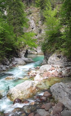 Dağlardaki vadide akan temiz suyla. Kayaların ve yeşil ağaçların arasında.