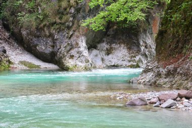 Dağların temiz suyu kayaların arasından akıyor.