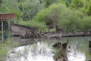BURCI Mezarlığı, Kuzey İtalya 'da SILE nehrinin kıvrımlarında, BURCIO veya BURCHIO olarak adlandırılan batık ahşap tekne enkleri ve Veneto İtalya bölgesinde Goodf ve tahıl taşımak için kullanılan tahıl kalıntıları ile yararlı bir paldır.