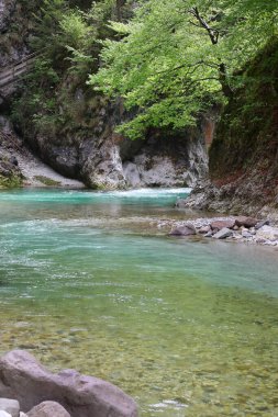 Kanyon kayaları arasında akan saf ve temiz sudan oluşan geniş bir dere.