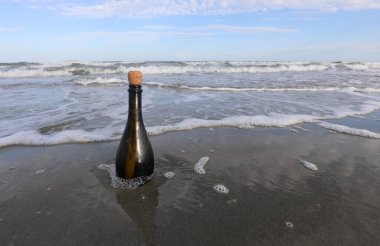 Shoreline 'da Mahsur Kalan Cam Şişe Potansiyel Değerli Bir Mesaj ya da Yardım Çağrısı