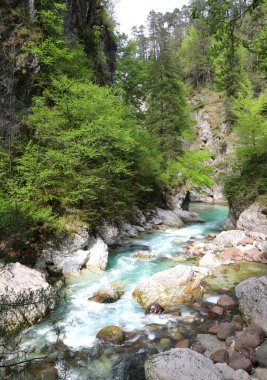 Kayaların arasından akan temiz suyla pınardaki dağ vadisinde