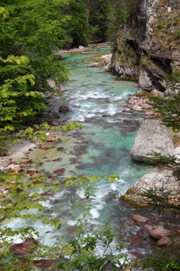 Ormanın ortasında akan temiz suyla birlikte yazın dağlarda insanlar olmadan.