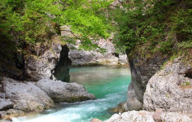 Dağlardaki kayaların arasından akan kristal berrak suyla harika bir dere manzarası.