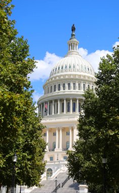Washington, DC, ABD - 26 Ağustos 2025: Mavi gökyüzünün altındaki parktaki iki ağaç arasında beyaz başkent kubbesi
