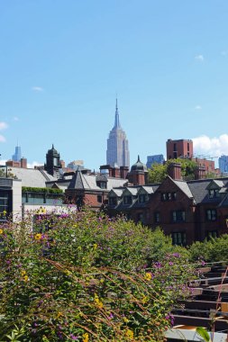 New York, New York, ABD - 25 Ağustos 2025: New York 'taki yenilenmiş parkın manzarası