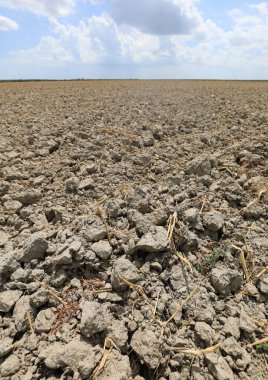 Kurak topraklara ve yaz mevsiminde yaşanan iklim değişikliğinin yol açtığı kuraklıklara bağlı olarak çok kuru topraklara.