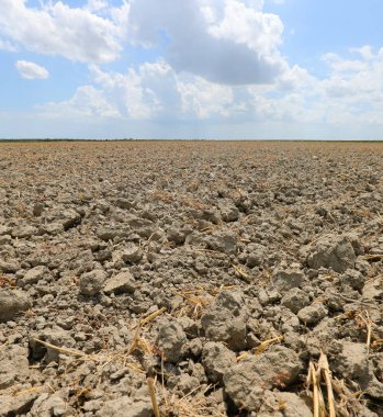 Yazın şiddetli iklim kuraklığının yol açtığı aşırı kuru toprak ve son derece kuru toprak içerir.