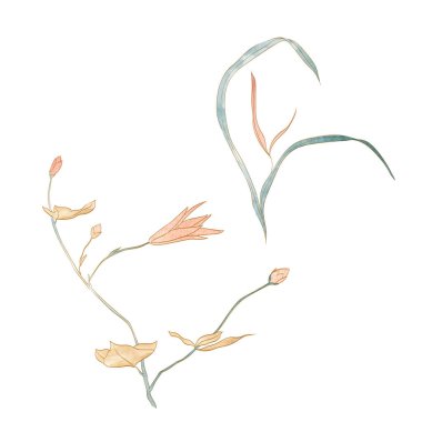 Set of hand drawn branch of leaves and flowers elements with natural pattern vector. Oriental decoration with watercolor painting texture in vintage style.	