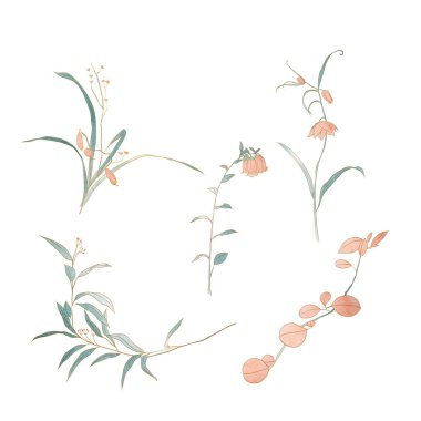 Set of hand drawn branch of leaves and flowers elements with natural pattern vector. Oriental decoration with watercolor painting texture in vintage style.	