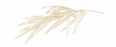 Beyaz arka plan dekorasyonlarına klasik tarzda elle çizilmiş bambu dalı. Sanat soyut şablon tasarımını terk eder.