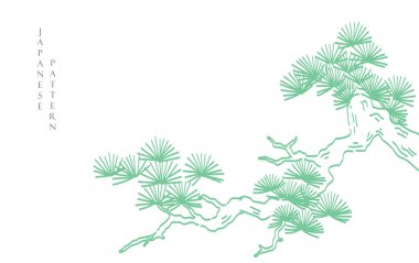Japonca şablon vektörlü bonsai ağacının bir dizi el çizimi. Oriental çam ağacı dekorasyonu logo tasarımı, el ilanı veya klasik tarzda sunumu ile.