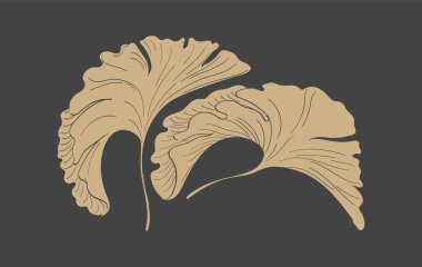 Japon ginkgo yapraklı siyah ve kahverengi el çizgileri klasik tarzda. Soyut sanat doğal afiş tasarım vektörü.