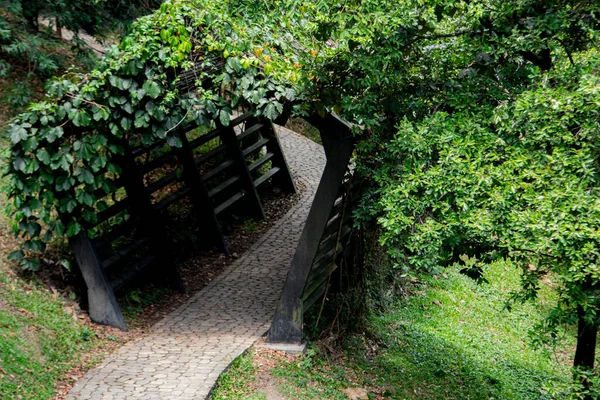Ormanın kalbinde bir evi andıran sihirli bir sahne.
