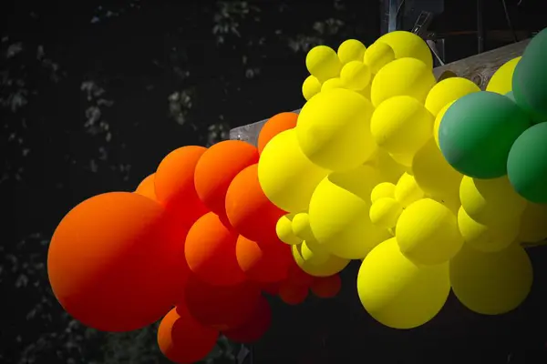 Gurur Yürüyüşü 'nde Renkli Titreşimler:: Yürüyüşçüler gökkuşağı bayrakları ve kostümleri sergilerken sokaklar canlı renklerle dolu. Atmosfer enerji, neşe ve birlik duygusuyla dolu.