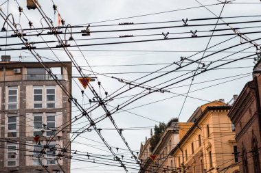 wires of the trolleybus interchange. High quality photo