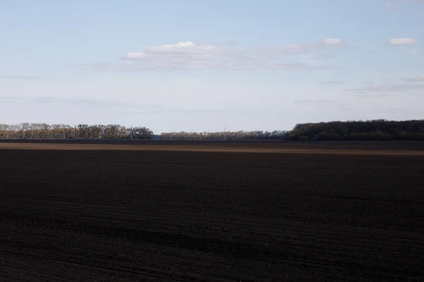 Çernozem tarlası bahar yeşilliği ekiyor. Yüksek kalite fotoğraf
