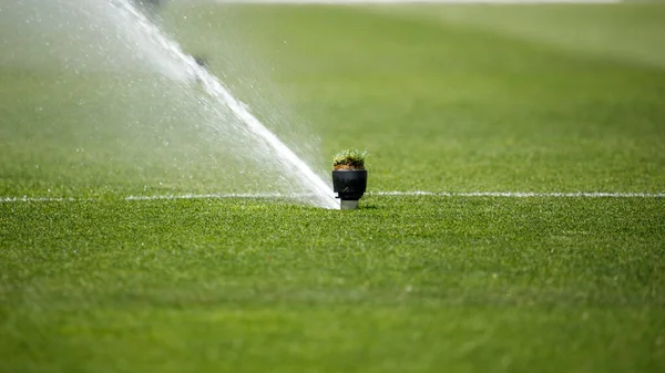 Het Gazon Water Water Gras Voetbalveld Water Geven Hoge Kwaliteit — Stockfoto