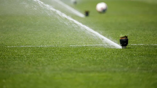 Watering Lawn Water Grass Football Field High Quality Photo — Stock Photo, Image