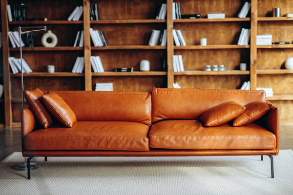 brown sofa on the background of a bookcase. High quality photo
