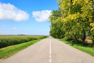 Yol mavisi gökyüzü ve yeşil alan. Yüksek kalite fotoğraf
