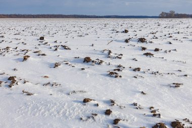 Zemin karla kaplı. Yüksek kalite fotoğraf