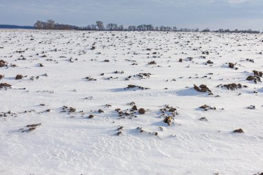 Zemin karla kaplı. Yüksek kalite fotoğraf