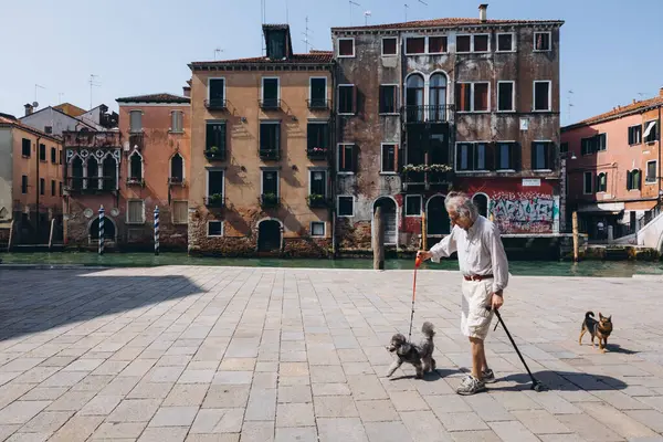 Yaşlı adam Venedik 'te köpeklerle yürüyor. Yüksek kalite fotoğraf