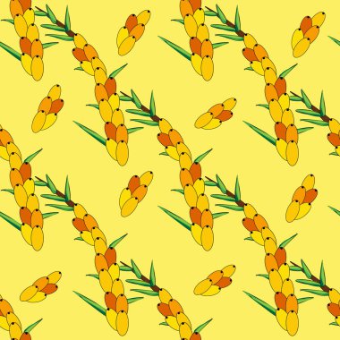 Dikensiz deniz dikenleri deseni. Böğürtlen ve yapraklı dallar. Duvar kağıdı, kumaş, ambalaj için turuncu taze böğürtlen şablonu.