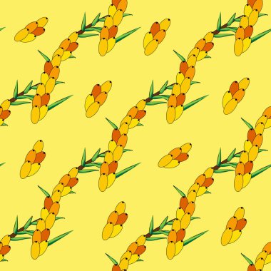 Dikensiz deniz dikenleri deseni. Böğürtlen ve yapraklı dallar. Duvar kağıdı, kumaş, ambalaj için turuncu taze böğürtlen şablonu.