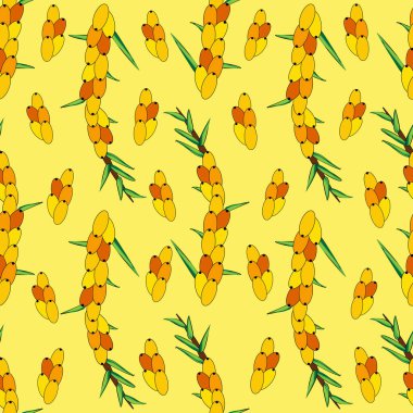 Dikensiz deniz dikenleri deseni. Böğürtlen ve yapraklı dallar. Duvar kağıdı, kumaş, ambalaj için turuncu taze böğürtlen şablonu.