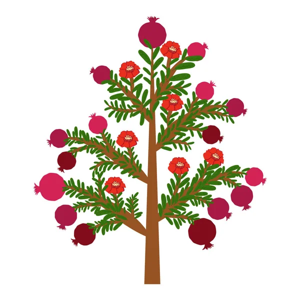 石榴树 果实和花朵 好运的象征 永生的象征 爱的象征 丰饶的象征 以色列和阿塞拜疆的象征 — 图库矢量图片