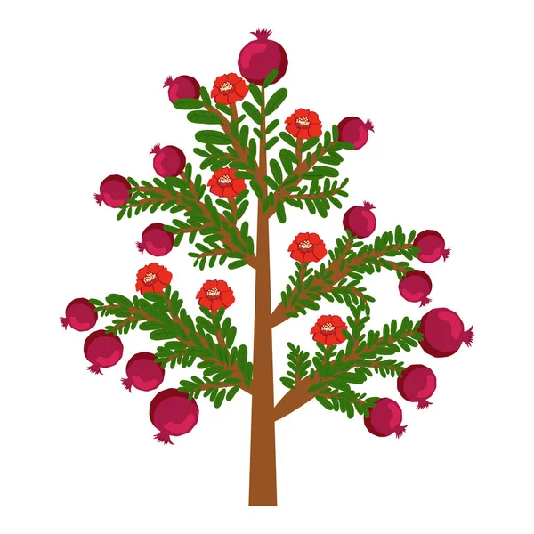 Granatapfelbaum Mit Früchten Und Blüten Symbol Für Glück Ewiges Leben — Stockvektor