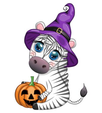 Cute zebra in witch hat, with broom, pumpkin jack, magic potion. Poster, card, label and decoration for Halloween party. Trick or Treat