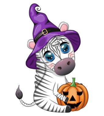 Cute zebra in witch hat, with broom, pumpkin jack, magic potion. Poster, card, label and decoration for Halloween party. Trick or Treat