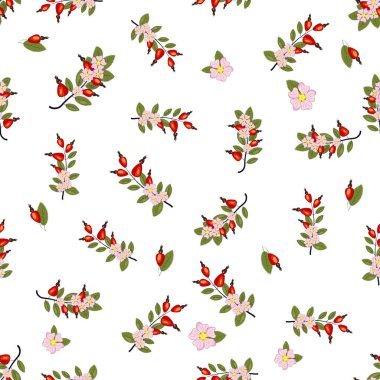 Seamless pattern with rosehip berries and flowers. Collection of various berries, herbs, twigs