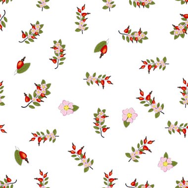 Seamless pattern with rosehip berries and flowers. Collection of various berries, herbs, twigs