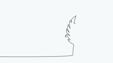 Self-drawing animation of continuous drawing of one line of feathers