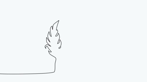 Self Drawing Animation Continuous Drawing One Line Feathers — Stockvideo