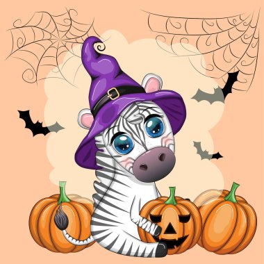 Cute zebra in witch hat, with broom, pumpkin jack, magic potion. Poster, card, label and decoration for Halloween party. Trick or Treat