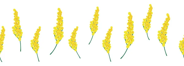 Mimosa Gelben Horizontalen Rand Nahtlose Muster Florale Nahtlose Grenze — Stockvektor