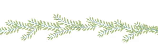 Leaves Decorative Algae Horizontal Border Seamless Pattern — Stock Vector