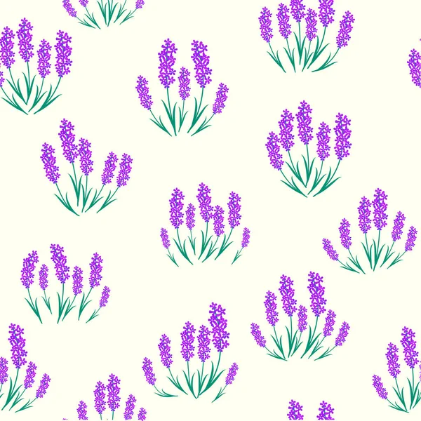 Botanische Naadloze Print Met Verschillende Bloemenelementen Blauwe Velden Van Lavendel — Stockvector