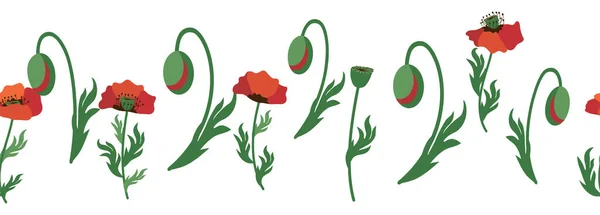 Parlak Kırmızı Gelincik Çiçekleri Haşhaş Kabuklarıyla Kusursuz Yaz Deseni Çelenk — Stok Vektör